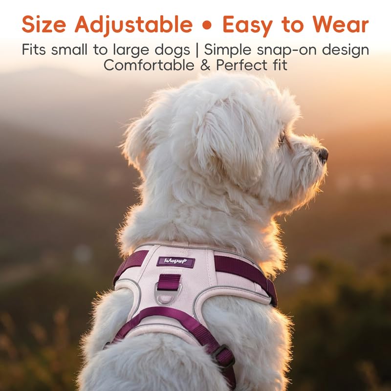 Image of Dog Harness and Leash Set with Collar, No Pull Reflective Pet Vest Harness with Control Handle for Medium Large Dogs Walking and Training