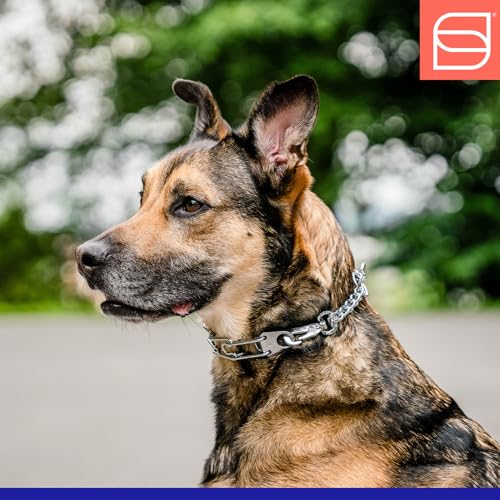Herm. Sprenger Ultra-Plus Prong Dog Training Collar with Quick Release Snap and Swivel, Anti Pull Training Pinch Collar, Steel Chrome Plated (2.25 mm x 13\" Neck Size; 16\" Chain Length)