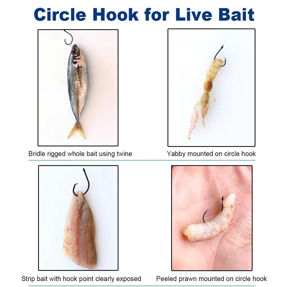 Ami da Pesca Fish Trip Circle Hooks 3X Strong Saltwater Fishing Hook Live Bait for Catfish, Tarpon, for Marlin & Deep-Dropping for Swordfish Gancio da Pesca(Size4-0)