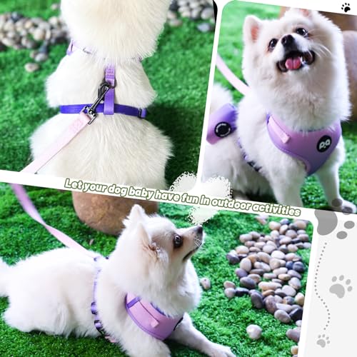 QQPETS Dog Harness Collar Leash with Poop Bag Holder 4 PCS Set, Adjustable No Pull Soft Mesh Padded Vest for Small Medium Large Pet Puppy Outdoor Walking (Gradient Purple, S (Chest 16.1”-22”)) - Thumbnail 6