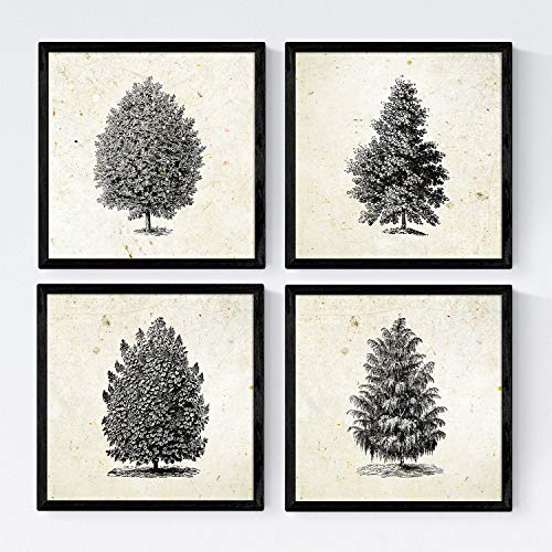 Quattro fogli di alberi con epoca colorata