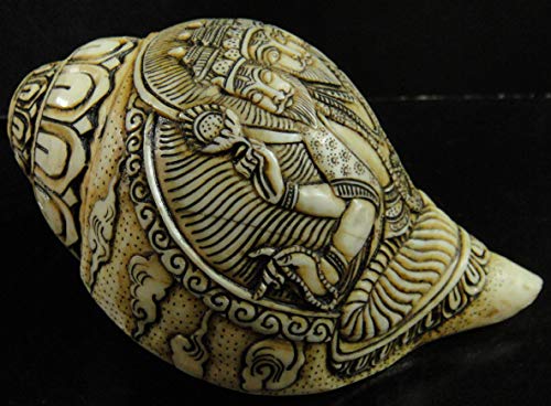 Amazon.co.jp: チベット密教法具 法螺貝 シャンカ ブラフマー 梵天