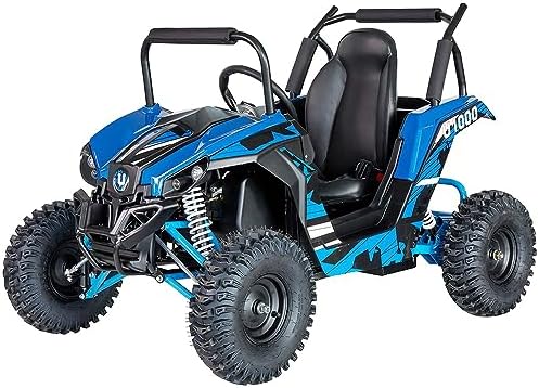UTV Ride on Car (Large), 48V Shock Absorber Electric Vehicles wit...