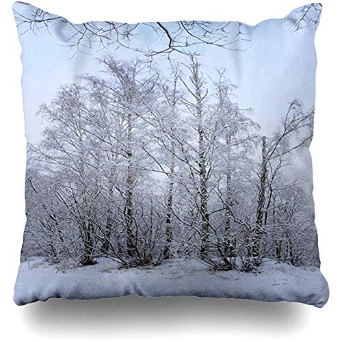 Fodera per cuscino da tiro 16x16 (40 x 40 cm) Alberi d'inverno blu Natura Ramo di ghiaccio Foresta fredda Gelo Gelido Congelato Federa