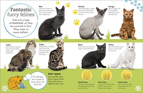 The Everything Book Of Cats And Kittens (Everything About Pets) #TOP3