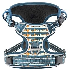 Normal-Sunset Valley