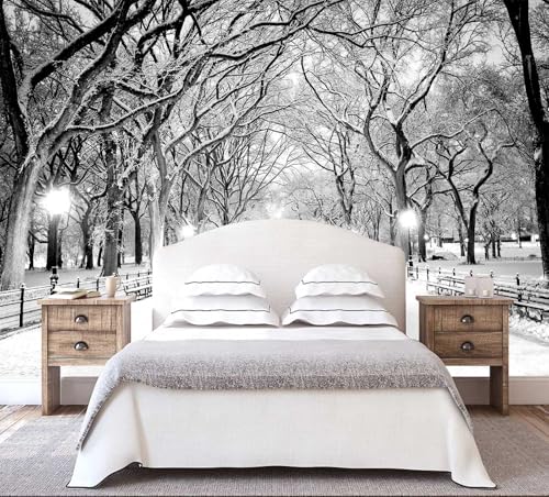 WFBHUA - Beautiful 3D Snowy Forest Wallpaper Gray New York Park Landscape Wall Mural Living Room Bedroom (Not Peel and Stick) WFBHUA - Beautiful 3D Snowy Forest Wallpaper Gray New York Park Landscape Wall Mural Living Room Bedroom (Not Peel and Stick)