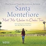 Cover of Meet Me Under the Ombu Tree