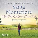 santa montefiore books for sale  Meet Me Under the Ombu Tree