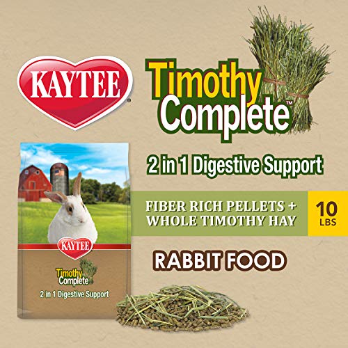 5 Best Kaytee Rabbit Food Reviews (Real Experience) The Hobby Zeal