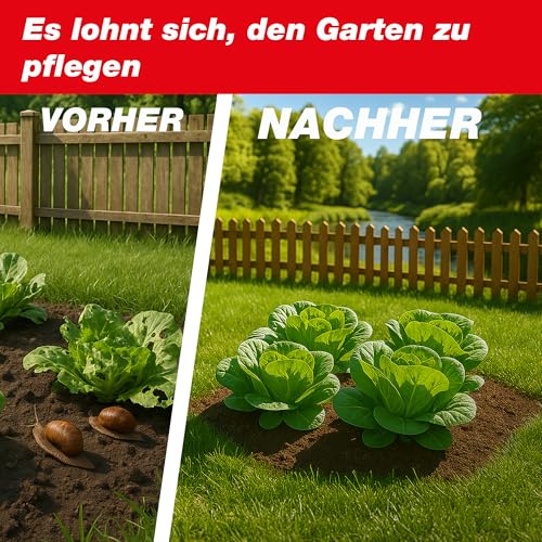 SWISSINNO Schneckenzange 2er-Set – Berührungsfreies Aufsammeln von Schnecken – Tiergerecht Praktisch Hygienisch Wiederverwendbar