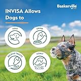 Baskerville INVISA Basket Dog Muzzle - Patented Humane Design with Facial Visibility, Padded Nose Band, Dog can Pant and Drink, Prevents Biting and Scavenging. Muzzle for Large Dogs (Size 6) - Image 8