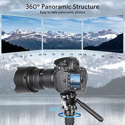Mini Video Tripod Head With Arca Swiss Quick Release Plate And Phone Clip Cnc Panoramic Pan Camera Tripod Mount For Canon Nikon Sony Olympus Panasonic Dslr Camcorders Max Load 24.5Lb/12Kg #TOP2