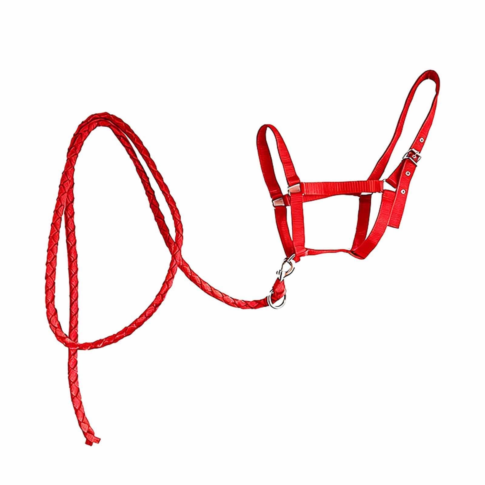 Cavezza per Cavallo con Corda, Cavezza Regolabile in Nylon, per Sport Equestri, Conduzione, Addestramento, Toelettatura, Viaggi, Proprietari, Uso Este