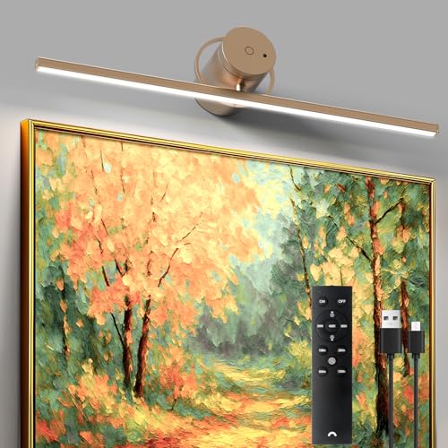VShape 21.6'' Battery Operated Wireless Picture Light, Rechargeable Art Light for Paintings, Adjustable Brightness & Timer Metal Display Light for Wall, Artwork, Gallery, Frames, Portraits (1-Pack)