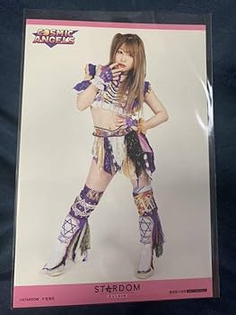 Amazon.co.jp: 女子プロレス スターダム stardom ファンブック