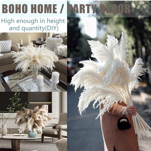 Image of 30 Stems 28 inch inch Large White Pampas Grass Fluffy, Boho Home Decor, Natural Fluffy Pompas Grass Pampas for Living Room Decor, Table Decor, Boho Decor Floor, Party Wedding Decor