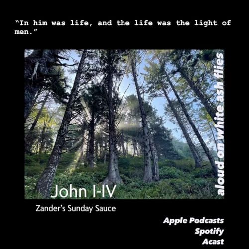 Zander's Sunday Sauce - John I-IV