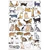 Laminated Cats of the World Chart Print Poster 24x36