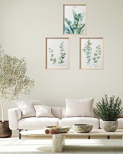 Hesendot Wall Art For Living Room,Framed Wall Art,Green Wall Decor,Minimalist Canvas Botanical Wall Art Decor,16X12In Plant Wood High-Framed Design Flower Green Eucalyptus Leaf Artworks Prints Poster For Bathroom,Bedroom,Office Set Of 3 #TOP3