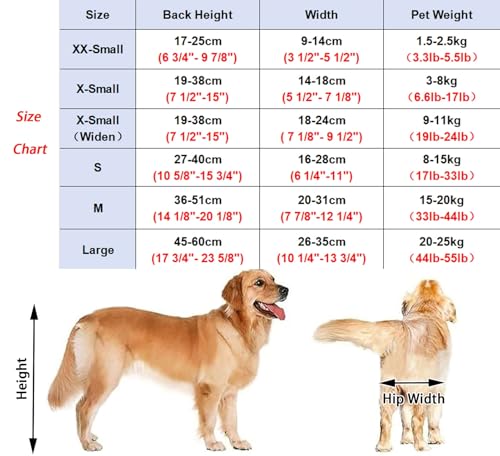 Silla de ruedas para perros: el cochecito cómodo que les devuelve las ganas de caminar 2