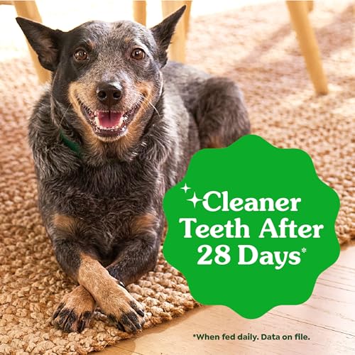 Greenies Dog Treats Veterinarian-Recommended Natural Dental Puppy Treats Teenie Size,12 oz. Pack,43 Count (Pack of 2) - image 4
