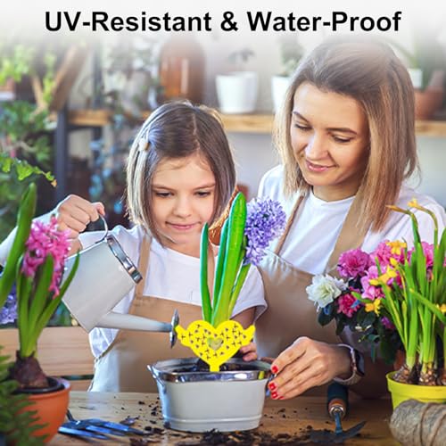 36PCS Fruit Fly Sticky Traps for Plants, Kitchen Indoor Outdoor, Love Shape - image 6