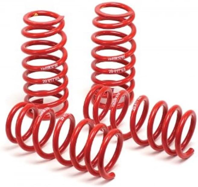H&R 50484-88 Race Spring