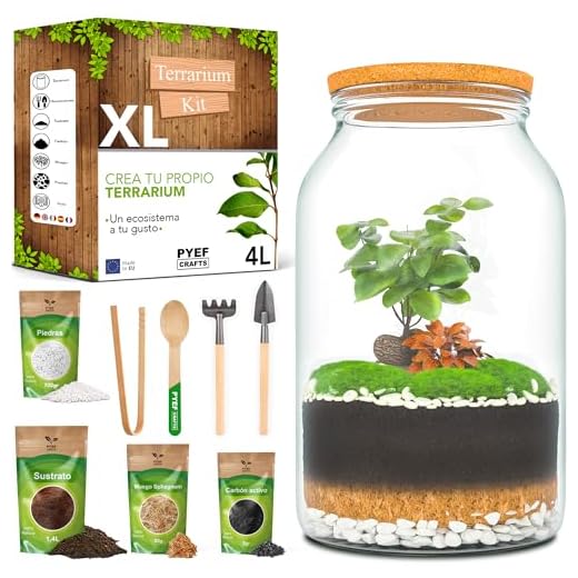 PYEF CRAFTS Kit Terrario Plantas XL - DIY Kit con Frasco Grande Terrario Cristal - Ecosistema Cerrado para Jardin Eterno - Terrarium Plantas Ecosistema - Sin Planta (Set con Frasco 4L)