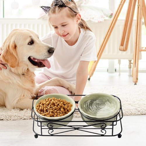 Gamelle lavable pour chat idéale pour repas propres sans éclaboussures - 7