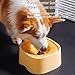 1.5L/50Oz Automatic Pet Water Fountain, Slow Water Bowl for Dogs, Cat Water Bowl No Spill, ABS Resin No Spill Water Bowl for Small Medium Cats and Dogs,Yellow