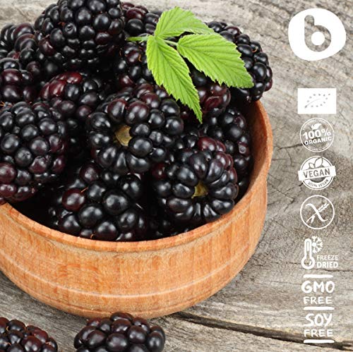 Bobica L9-LHXJ-SLKN Organic Freeze Dried Wild Blackberry Powder From Frozen Blackberries thumb #5