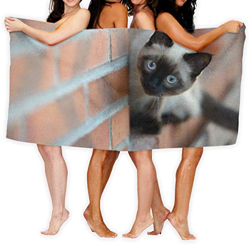 Sotyi-ltd Toallas de baño Pared, diseño de Gato siamés, para Playa, Piscina, Adultos, absorbentes, Suaves, 31 x 51 Pulgadas