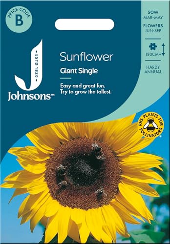 Johnsons Sunflower 'Giant Single' Seeds for Planting UK – Up to 2.5m Tall – Hardy Annual – Ideal for Wildlife & Back of Flower Borders – UK Garden Favourite - Harvested Seeds are Edible