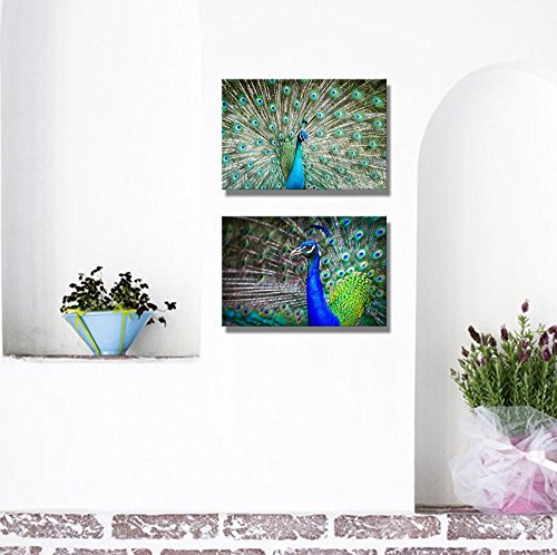 Wall26 - Canvas Prints Wall Art - Close-Up Portrait Of Beautiful Peacock With Feathers Out - 16"X24" X 2 Panels #TOP1