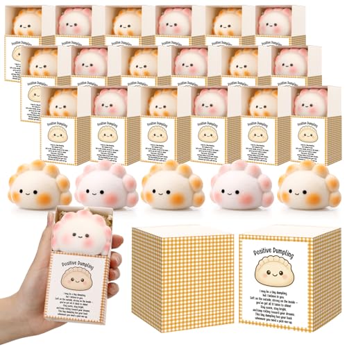 Wettarn 12 Sets Positive Dumpling Gifts Cute Stress Balls with Support Gift Boxes Bulk Party Favors for Coworkers Employees Friends Office School Emotional Relief Desk Decor