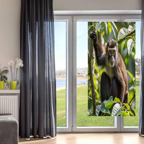 Cortinas divisoras de privacidad con aislamiento térmico temporal y tejido opaco denso 6