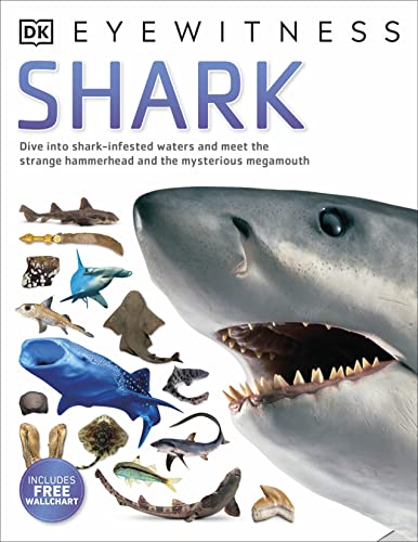 Shark view 2