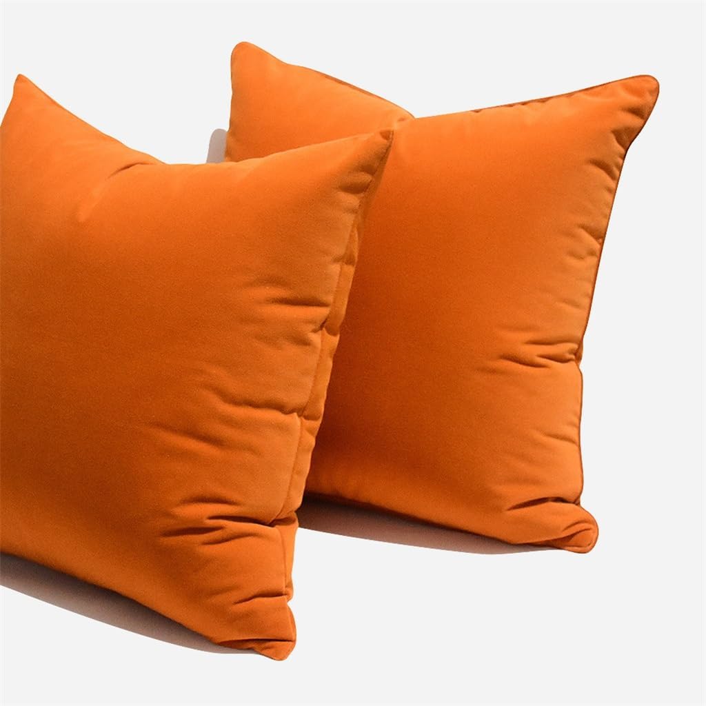 HBJWOV Oran Plush Sofa Throw Pillow Living Room Bedroom Bed Cushion Cover Case