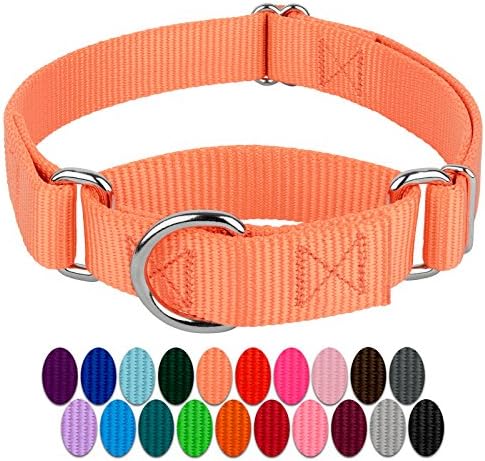 Country Brook Petz - Mango Martingale Heavy Duty Nylon Dog Collar - 21 Vibrant Color Options (1 Inch Width, Large)