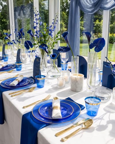 Hioasis 60 Pcs Blue Gold Plates for Party & Wedding