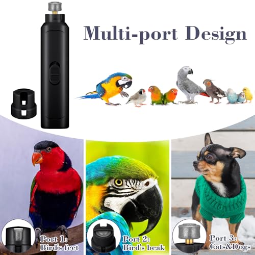 Image of Lasnten 2 Pcs Bird Nail Grinder with Clipper Bird Nail Trimmer File Pet Grooming Tool for Parrot Budgerigars Parakeets Myna Conure Finches Lovebirds(Black)