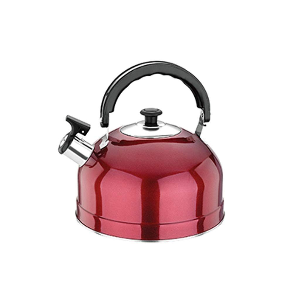 Kettle en acier inoxydable 4L pour ne plus attendre l'ébullition