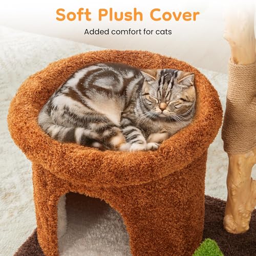 Torre para Gatos de Madera con Rascadores y Camita miniatura 4