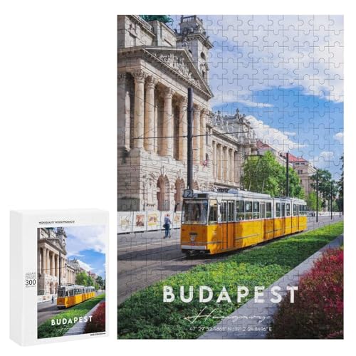 Rompecabezas 300 PCS para Adultos Budapest Coordinates Rompecabezas para Adultos Juegos Relajantes Corte De Precisión Oferta como Regalo para Toda La Familia 300 PCS