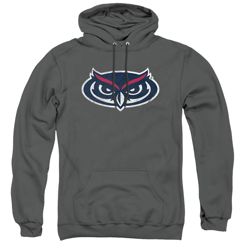 LOGOVISION Official Collegiate Distressed Primary Logo Adult Pullover Hoodie Collection — view 410