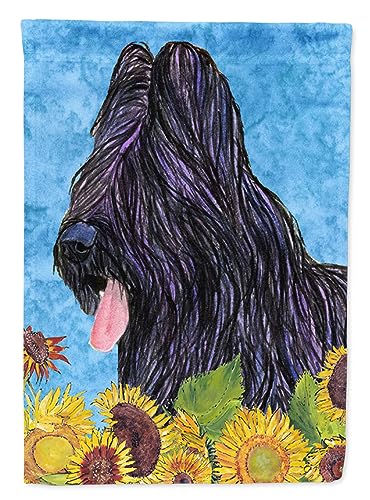 Drapeau Briard Caroline's Treasures SS4123GF petit format multicolore