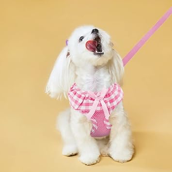 EXPAWLORER Step-in Dog Harness Small Sized and Leash Set | Cute Small Dog Harness No Pull Girl, Breathable Soft Mesh Padded, Adjustable Light Puppy Vest for Dogs Cats, Pink S