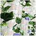 Comius Sharp Trellis Red de jardín, Enredaderas Jardín Red, Enrejado prémium con...