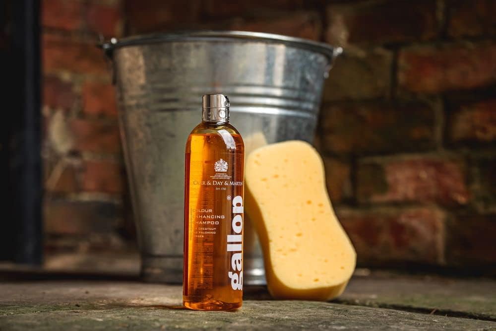 Carr & Day & Martin Horse Gallop Colour